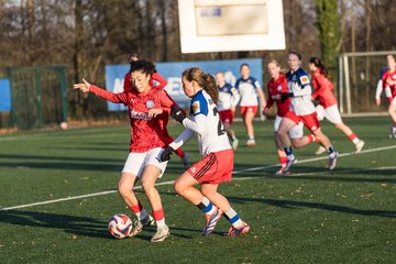 Bild 208 - wBJ Hamburger SV - Holstein Kiel : Ergebnis: 8:0